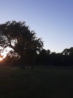 Brookwood Park