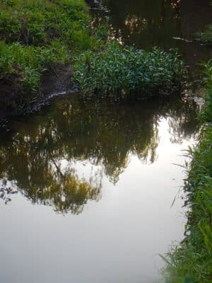 Brookwood Park