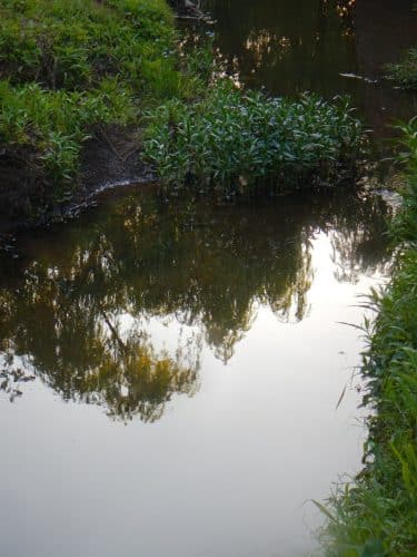 Brookwood Park
