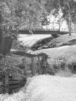 Brookwood Park