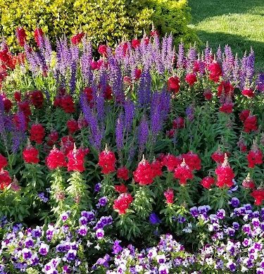 Crown Heights Park