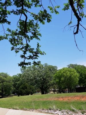 Draper Park (Capitol Hill)