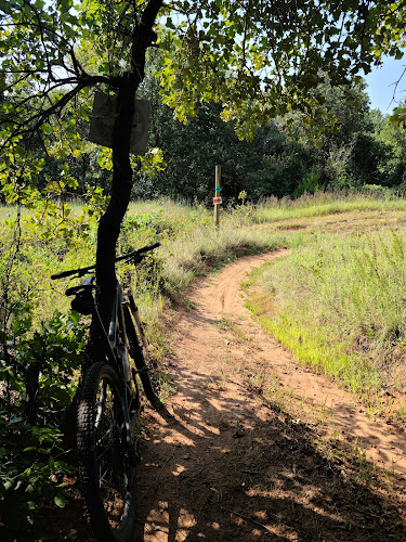Lake Stanley Draper Mountain Bike Trails
