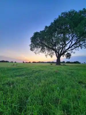 Lakeshore Park