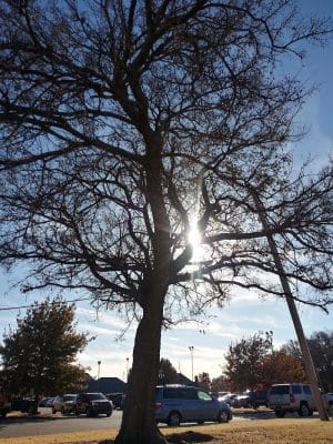 Merrel Medley Park