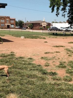 Midtown Mutts Dog Park