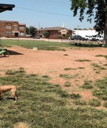 Midtown Mutts Dog Park