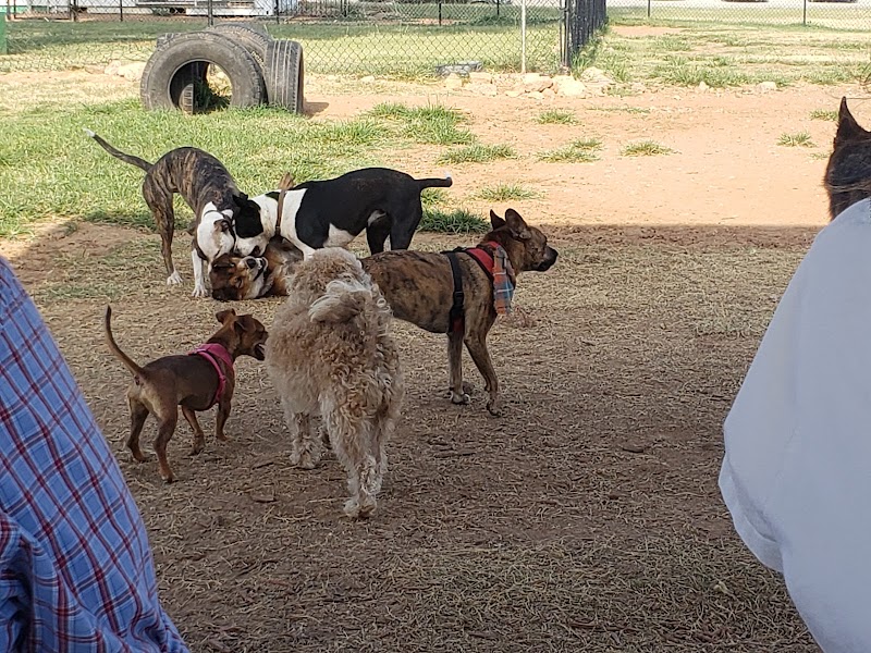 Midtown Mutts Dog Park - Oklahoma City, OK