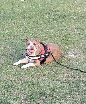 Mike Dover Park