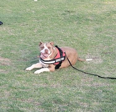 Mike Dover Park