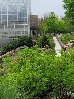 Myriad Gardens Community Dog Park