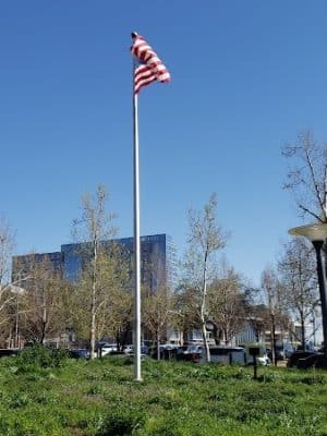 Myriad Gardens Community Dog Park