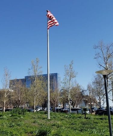 Myriad Gardens Community Dog Park