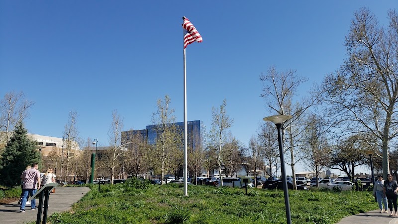 Myriad Gardens Community Dog Park - Oklahoma City, OK