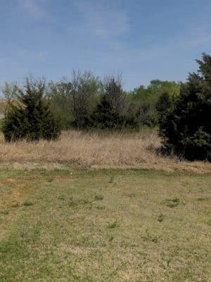 Observation Park