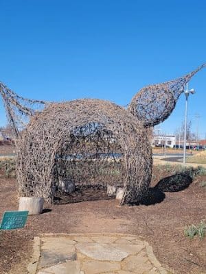 Scissortail Park Dog Park