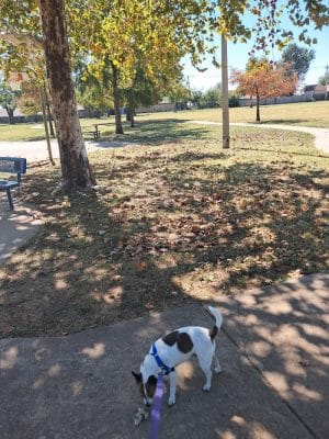 Siler Park