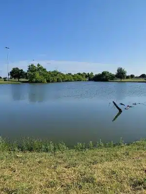 South Lakes Park