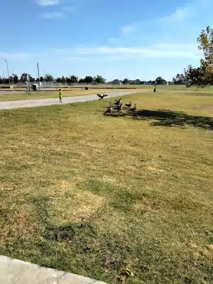 South Lakes Park