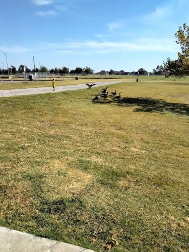 South Lakes Park