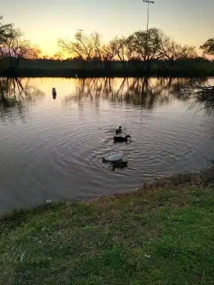 South Lakes Park