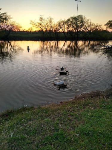 South Lakes Park