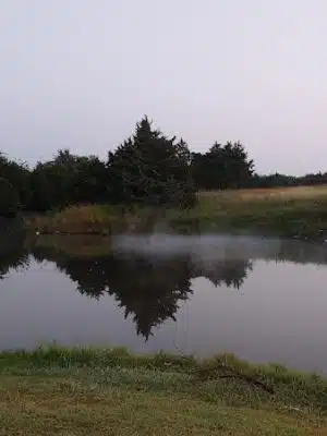 South Lakes Park