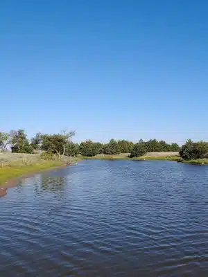 South Lakes Park