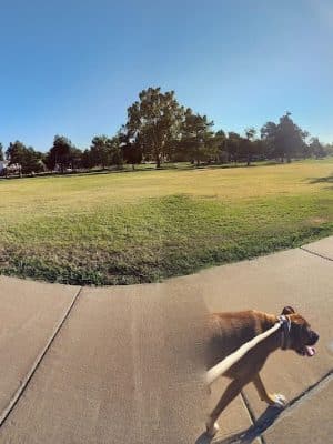 Swatek Park