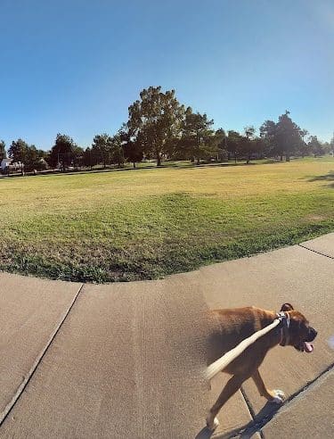 Swatek Park