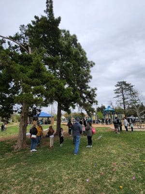 Swatek Park