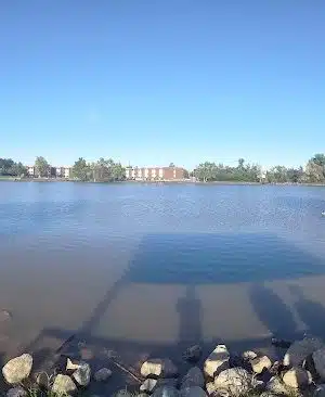 "The Duck Park"