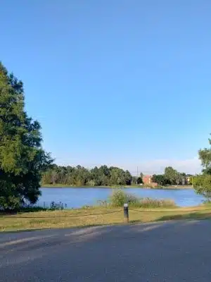 "The Duck Park"