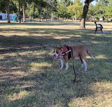 Wayman's Park