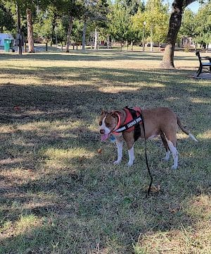 Wayman's Park