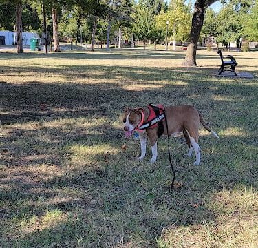Wayman's Park