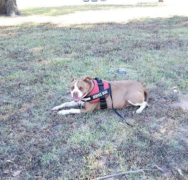 Wayman's Park