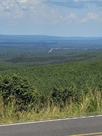 Roadside Park - Ola, AR