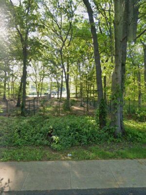 Old Bethpage Dog Run Park