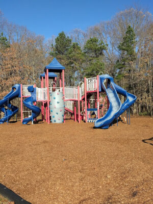 Bark Park