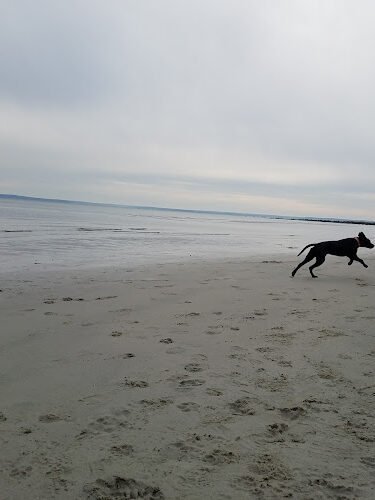Greenwich Point Beach