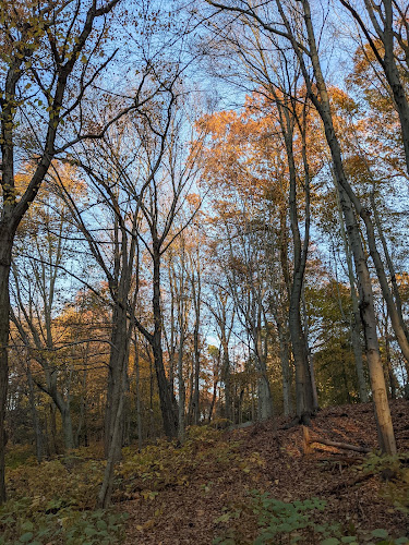 Laddins Rock Sanctuary