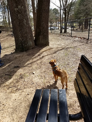 Olive Bark Dog Park