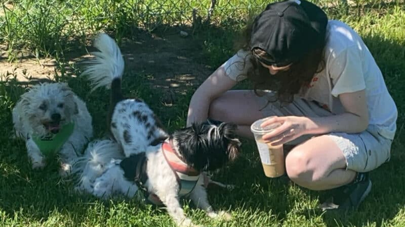 Hefflinger Dog Park - Omaha, NE