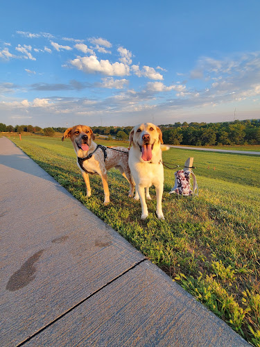 Chalco Hills Dog Exercise Area
