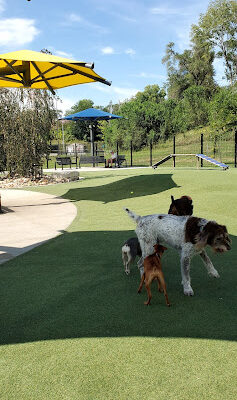 Dewey Dog Park