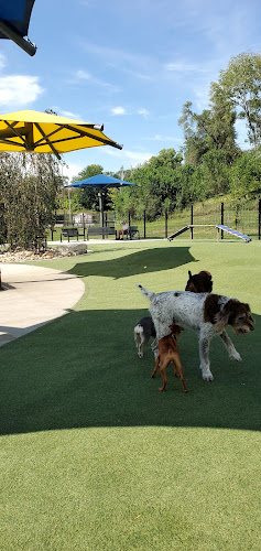 Dewey Dog Park