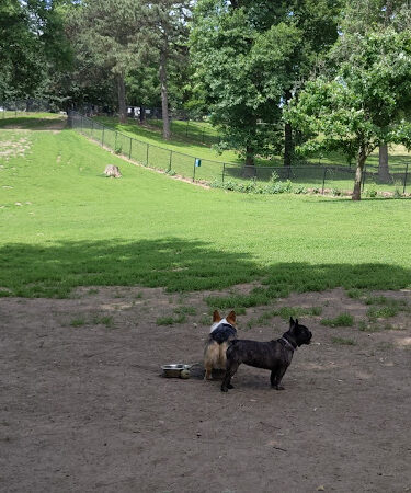 Hanscom Dog Park