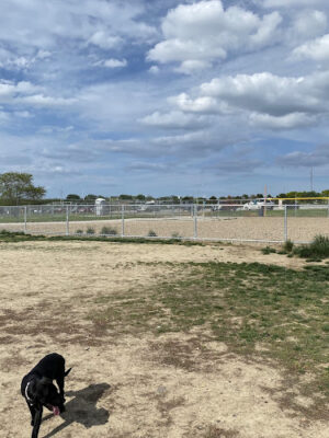 Hefflinger Dog Park