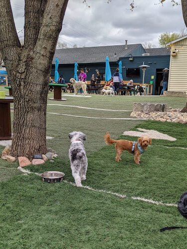 Omaha Dog Bar